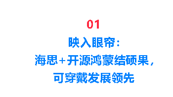 海思+OpenHarmony构建一个宏伟的生态蓝图